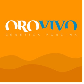 orovivo-06